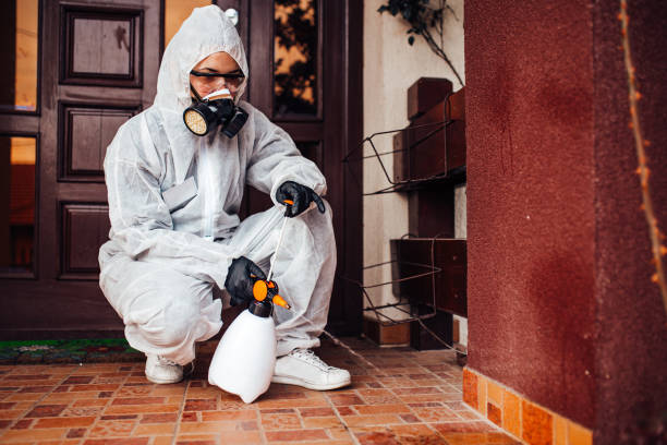 Reliable Wasp Removal contractor in Nyssa, OR by Show Me Pest Control